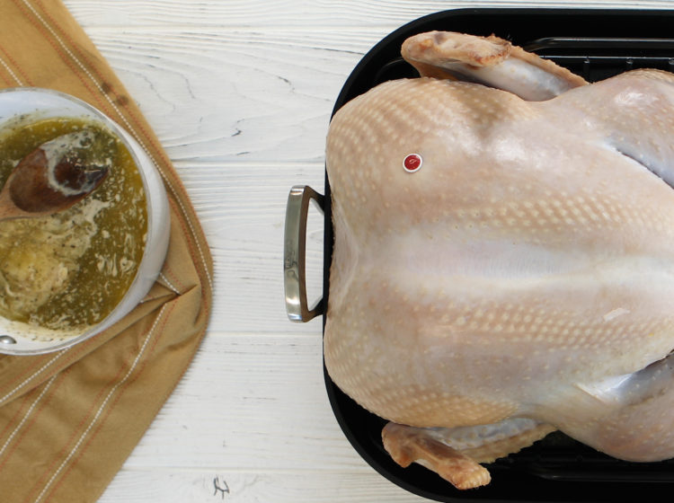 Meat Thermometer or Pop-Up Turkey Timer? - Consumer Reports