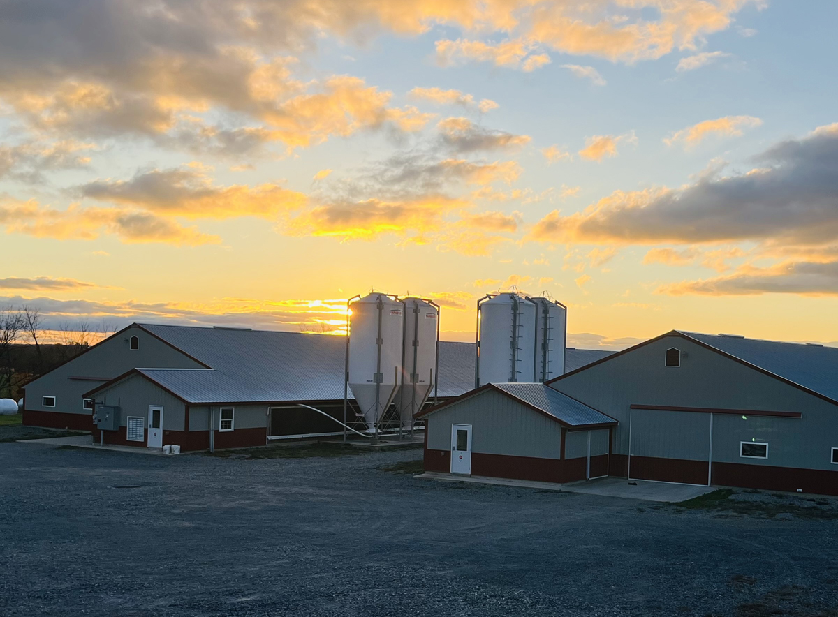 Bell & Evans Chicken Houses