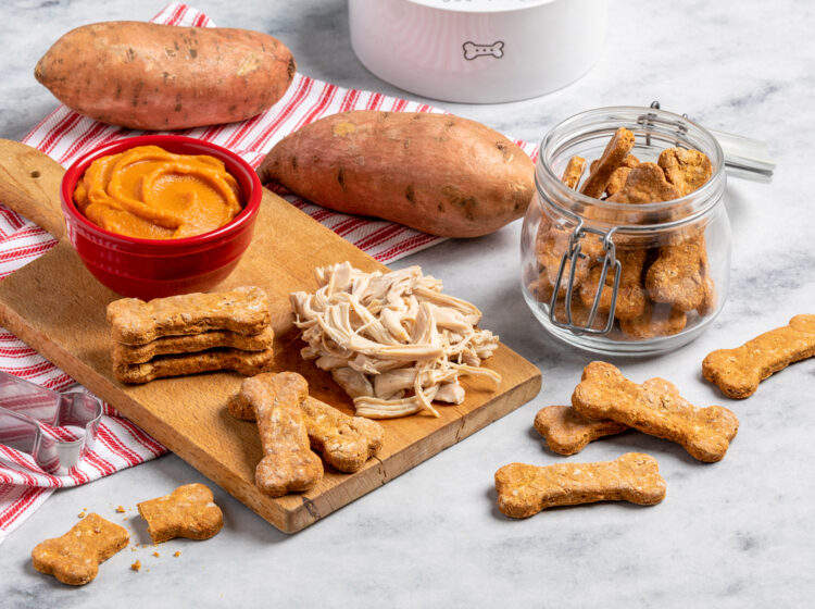 Chicken & Sweet Potato Dog Biscuits