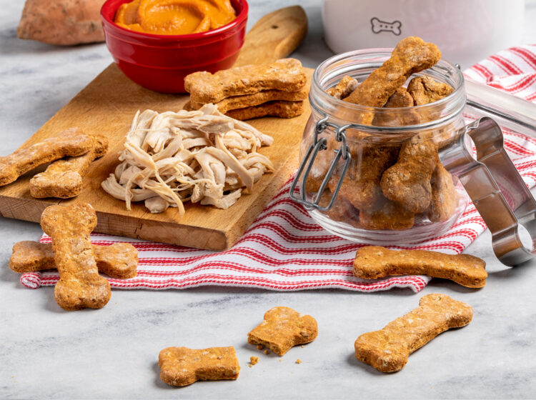 Chicken Sweet Potato Dog Biscuits