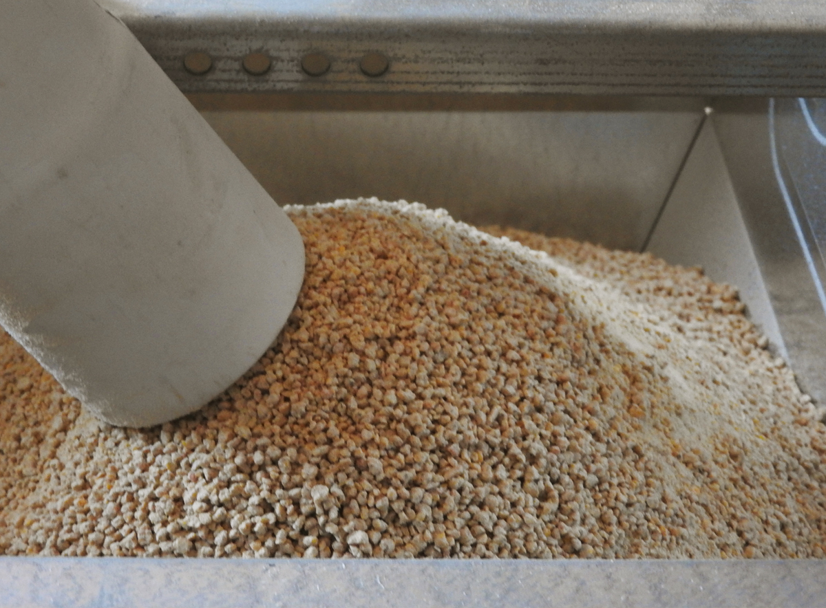 High Quality Chicken Feed