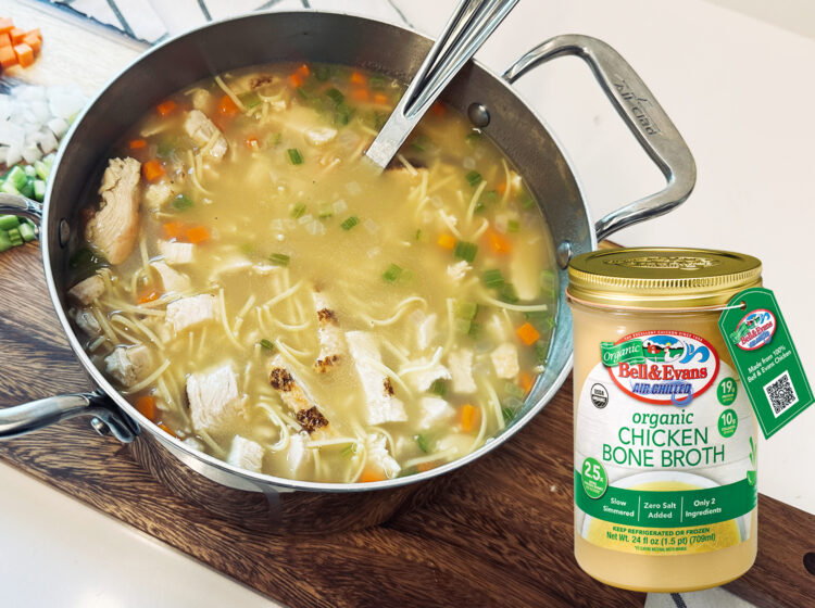 Quick & Easy Chicken Noodle Soup