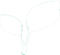 Organic Icon