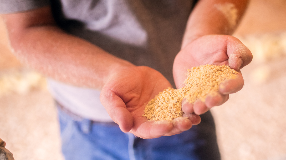 Bell & Evans Chicken Feed made with U.S. Grown Grains