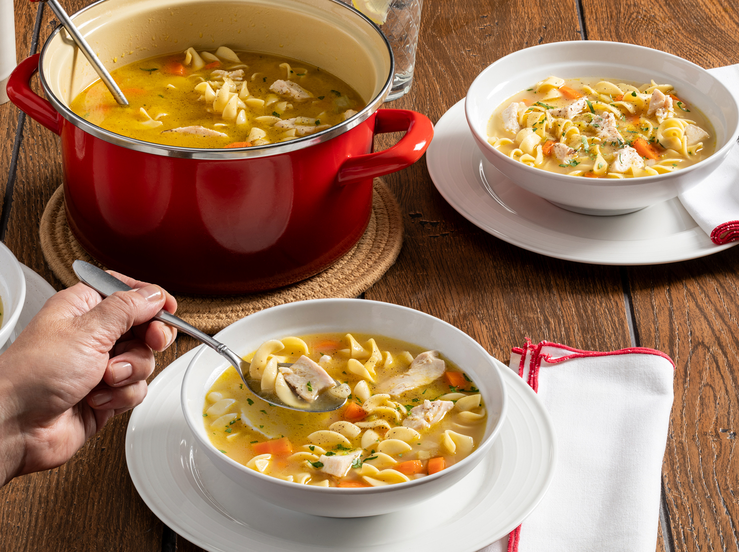 Quick & Easy Chicken Noodle Soup