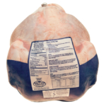 Fresh Young Turkey