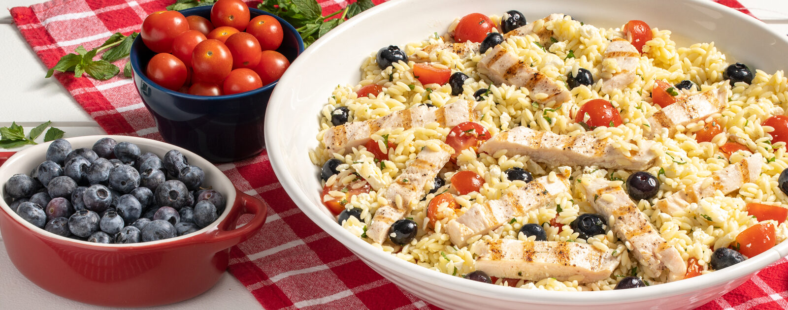 Red, White & Blue Orzo Grilled Chicken Salad