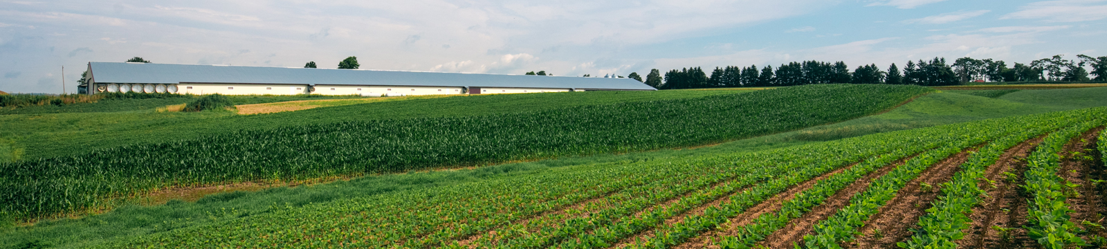 Scotts Blog - Organic or Environment Header