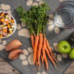 Easy Slow Cooker Dog Food