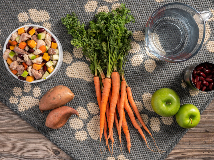 Easy Slow Cooker Dog Food