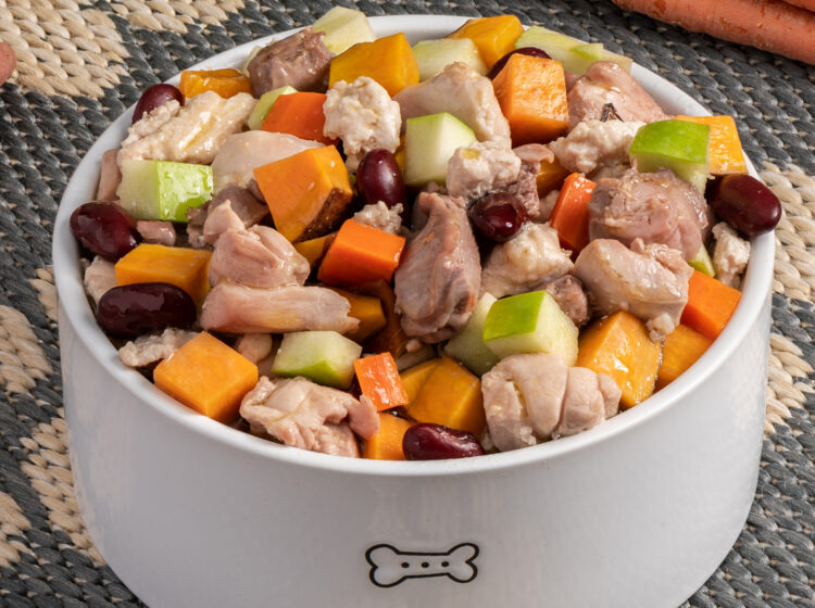 Easy Slow Cooker Dog Food