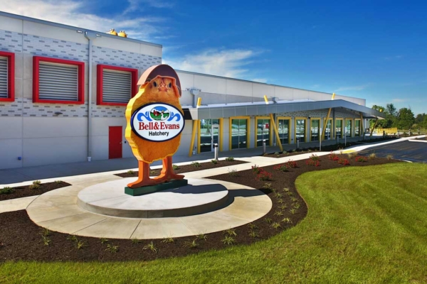 Bell & Evans Hatchery