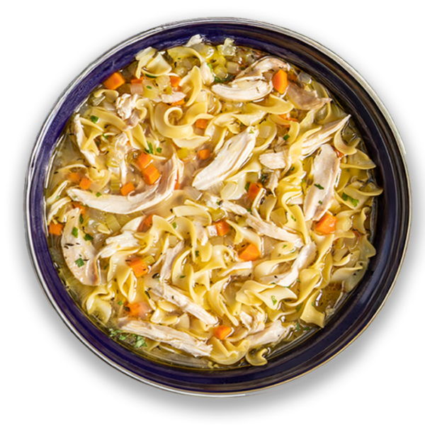 Chicken Noodle Soup