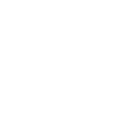 Chicken Icon
