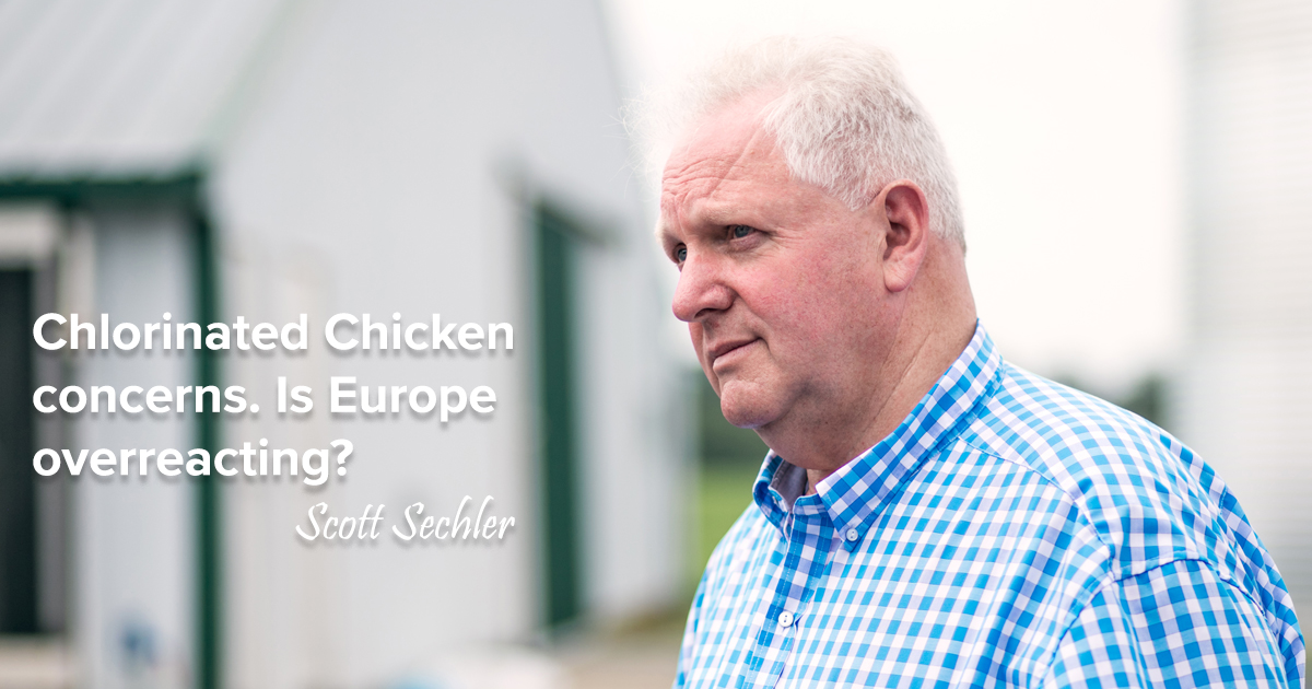 Chlorinated Chicken Concerns Is Europe Overreacting? Bell & Evans