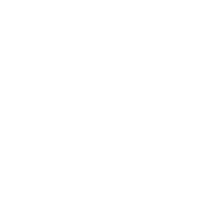 Chicken Icon