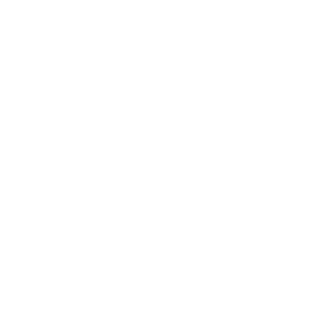 Raised without Antibiotics Icon