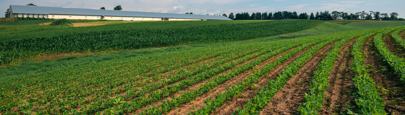 Pennsylvania High Performance Farms Organic Initiative