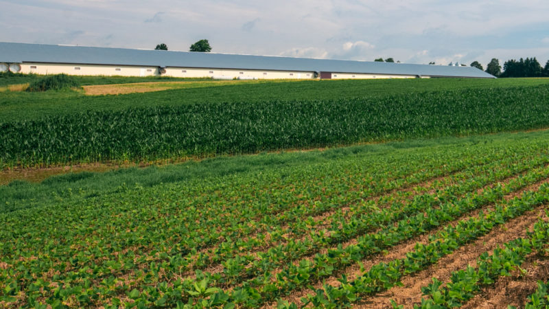 Pennsylvania High Performance Farms Organic Initiative