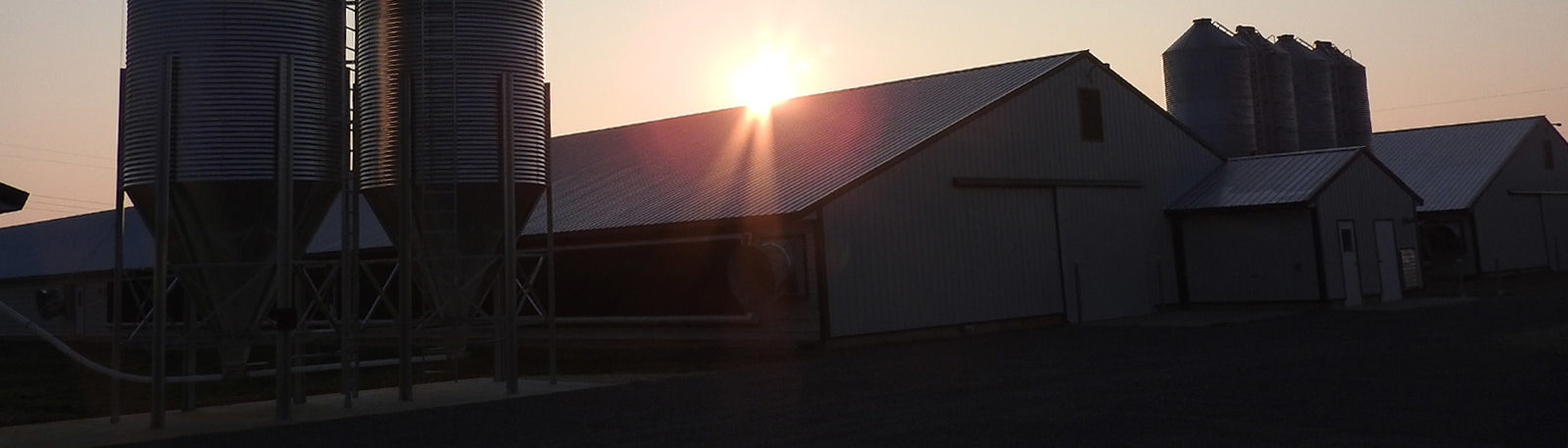 Bell and Evans Farms