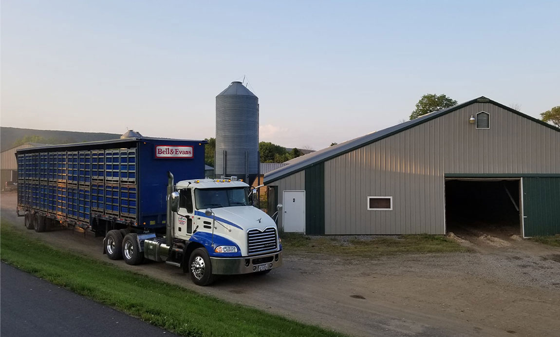 Bell & Evans transportation